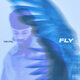Cover art for album Fly by Tone Stith