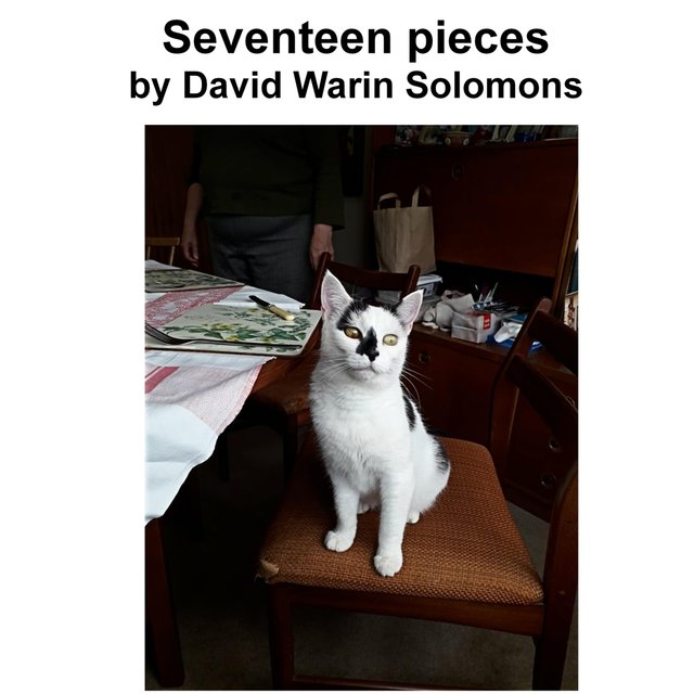 17 Pieces by David Warin Solomons