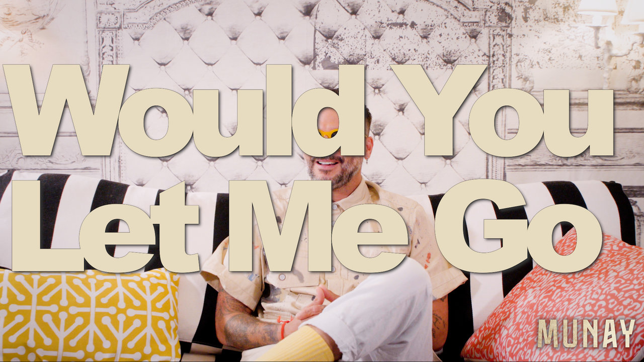 Would You Let Me Go (Track By Track)