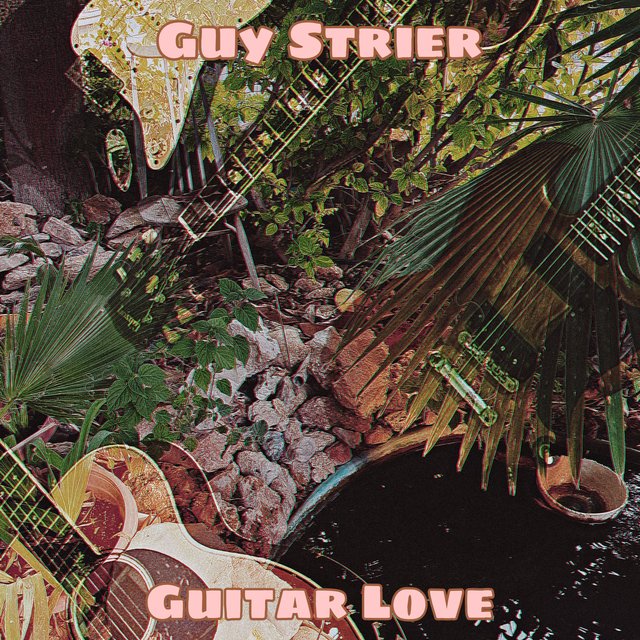 Guitar Love