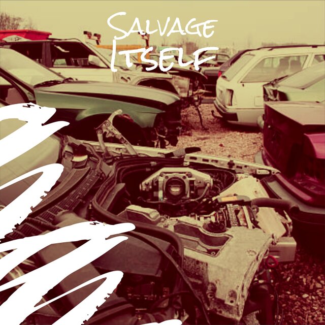 Salvage Itself