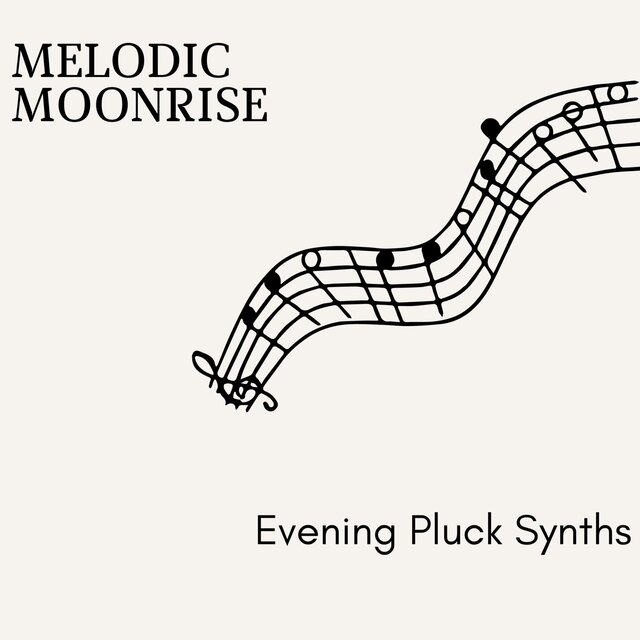 Melodic Moonrise - Evening Pluck Synths