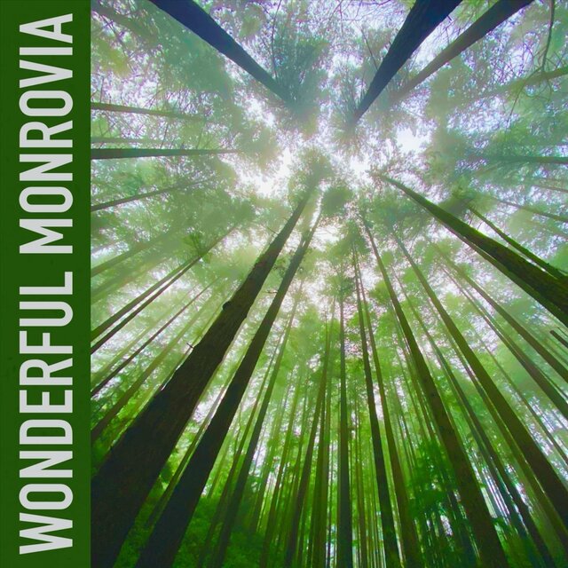 Monrovia