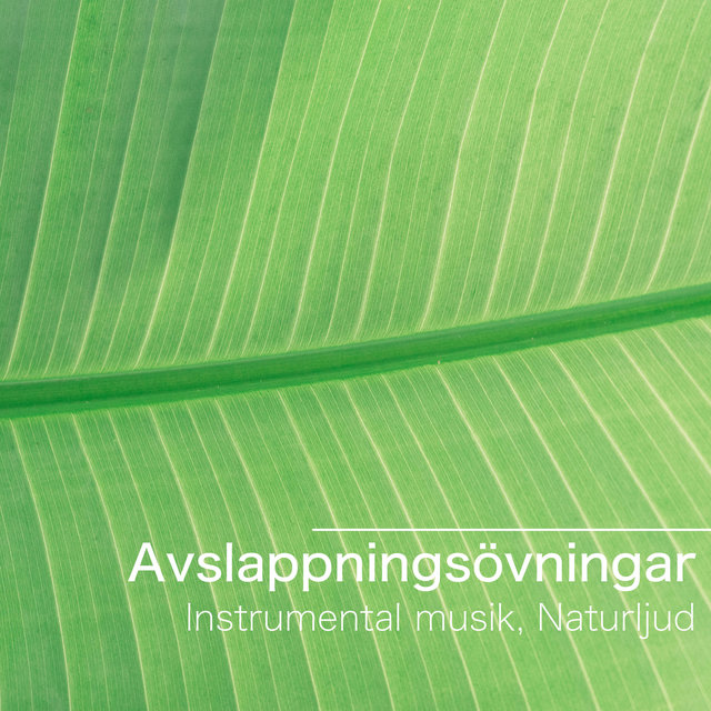 Avslappningsövningar - Instrumental musik, Naturljud