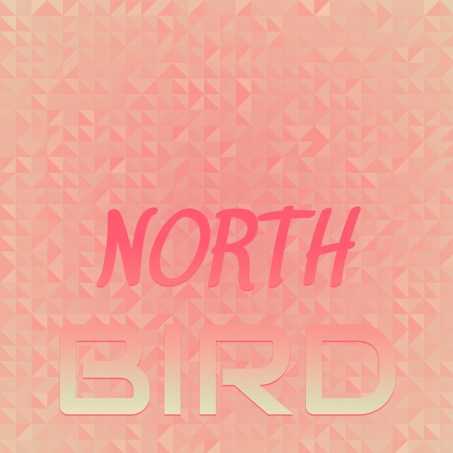North Bird