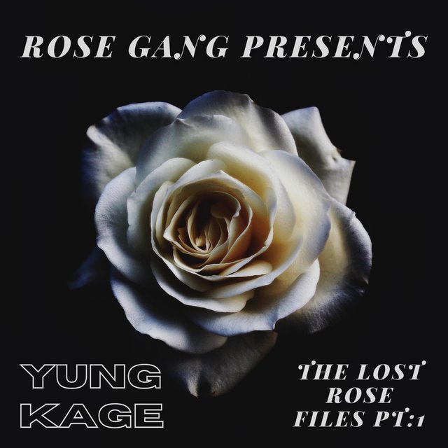 The Lost Rose Files Pt. 1