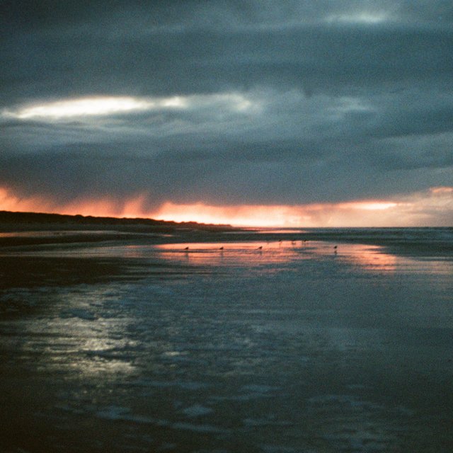 Painted Sky