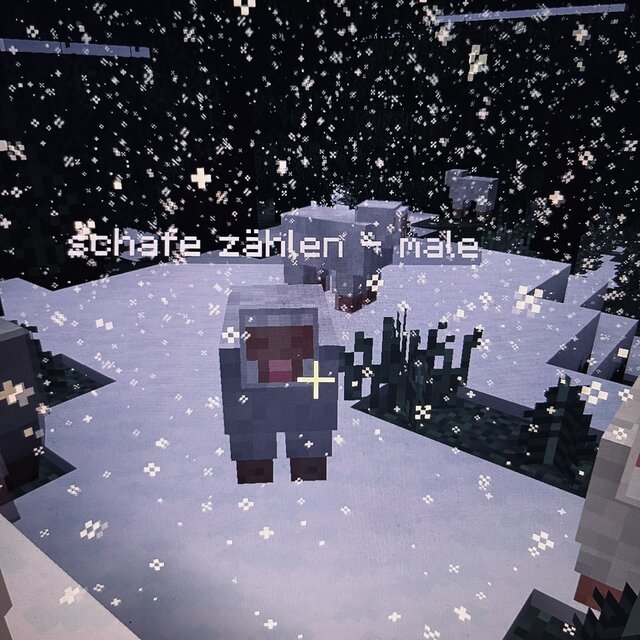 Schafe zählen