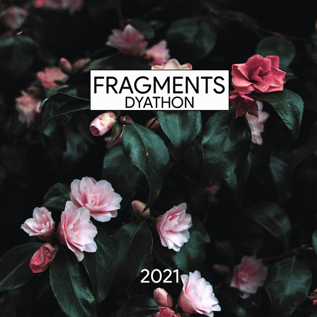 Fragments