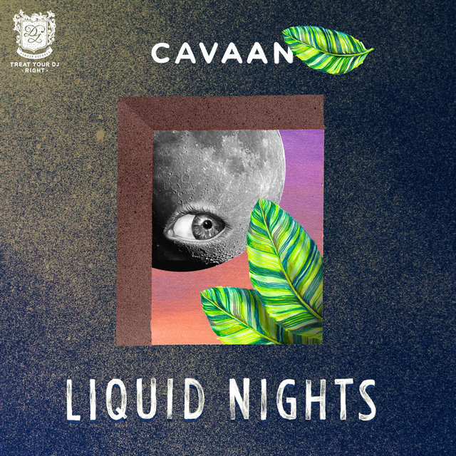 Cover art for album Liquid Nights by Cavaan