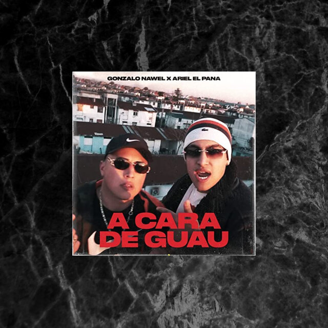 A Cara de Guau