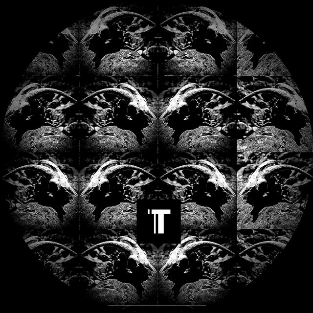TAR08