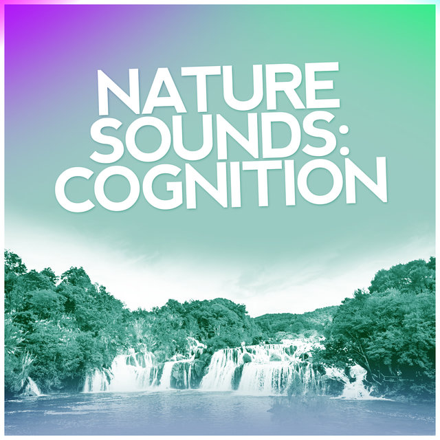 Nature Sounds: Cognition