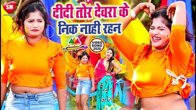 Didi Tor Dewara Ke Nik Nahi Rahan  - Bhajpuri Holi Video Song (Holi Song)