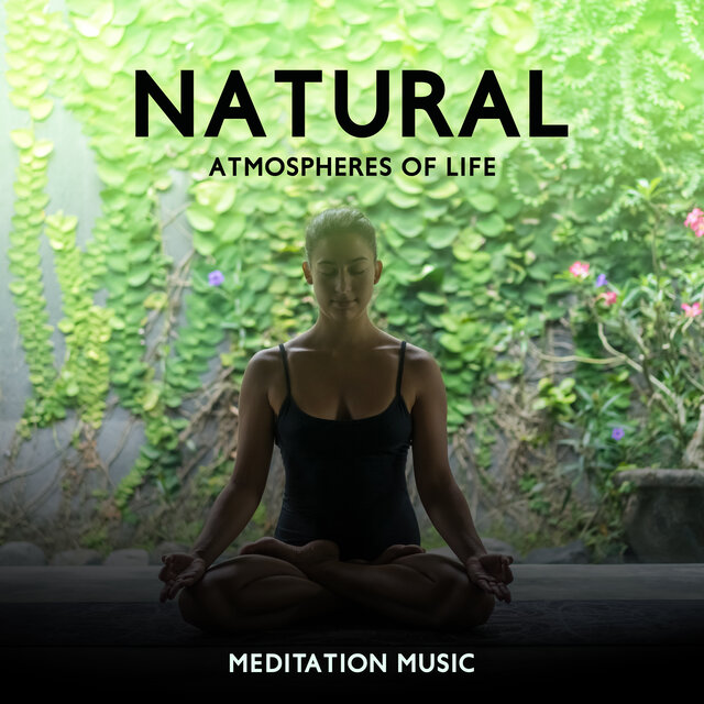 Natural Atmospheres of Life (Meditation Music)
