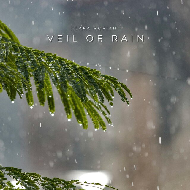 Veil of Rain