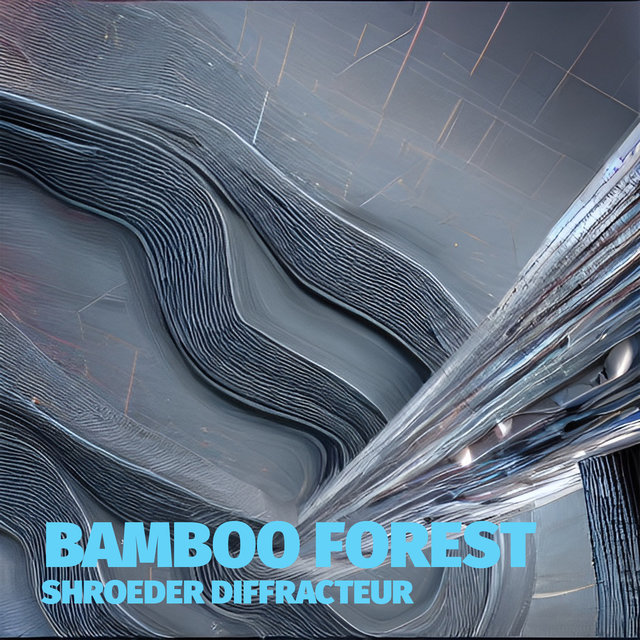 Shroeder Diffracteur