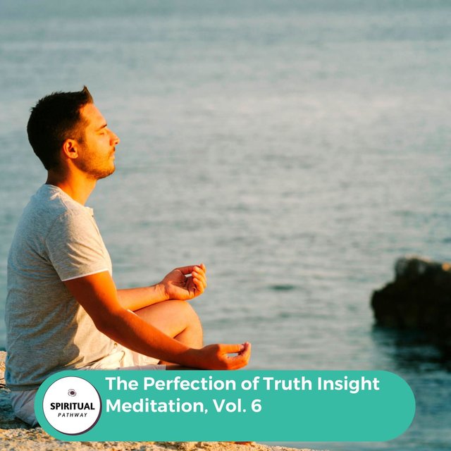 The Perfection Of Truth Insight Meditation, Vol. 6