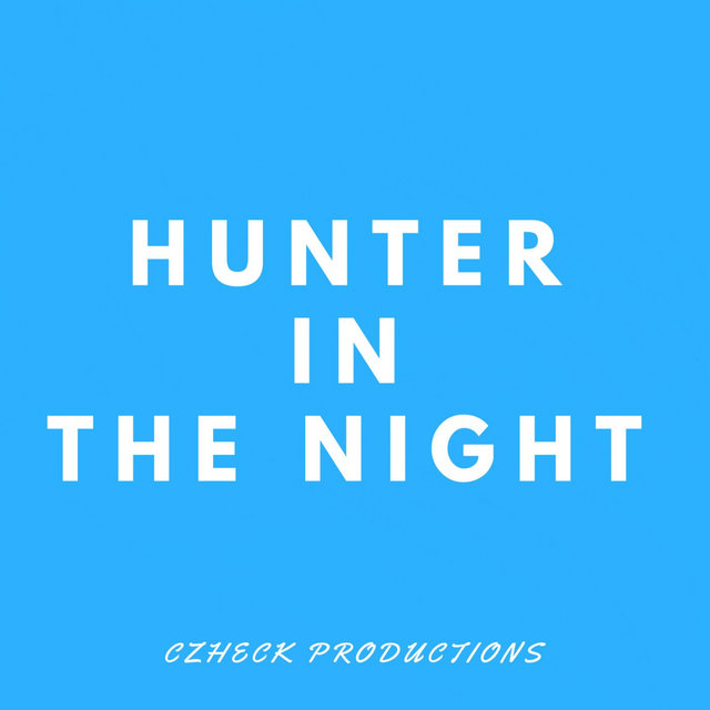 Hunter In The Night