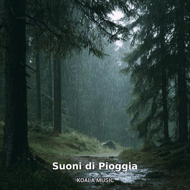 Suoni di Pioggia