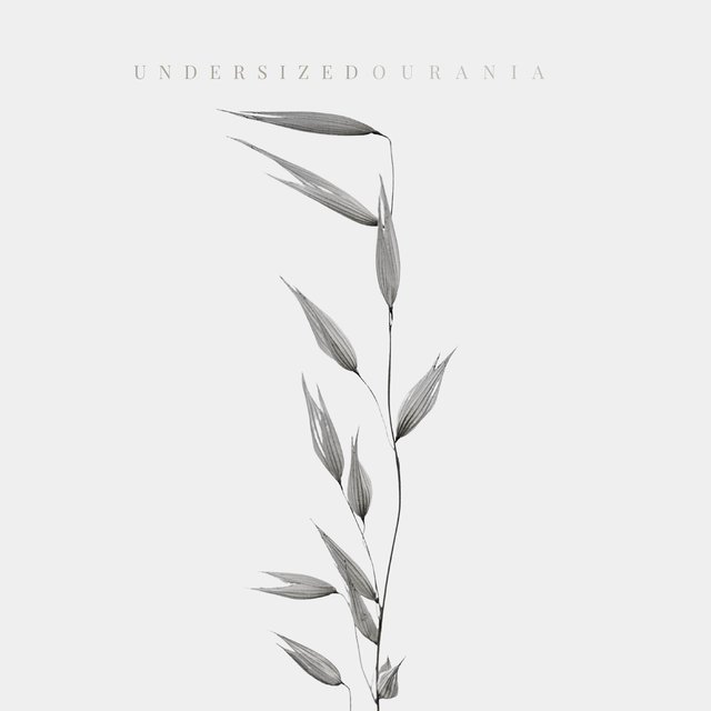 Undersized