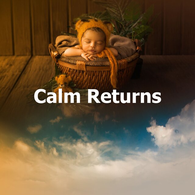 Calm Returns