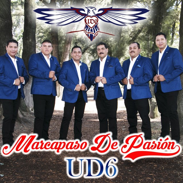 Marcapaso de Pasión