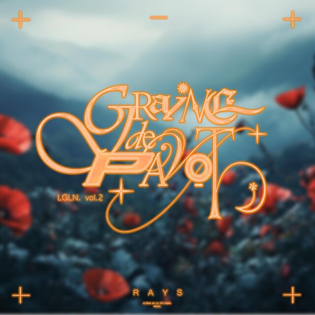 Graine de pavot