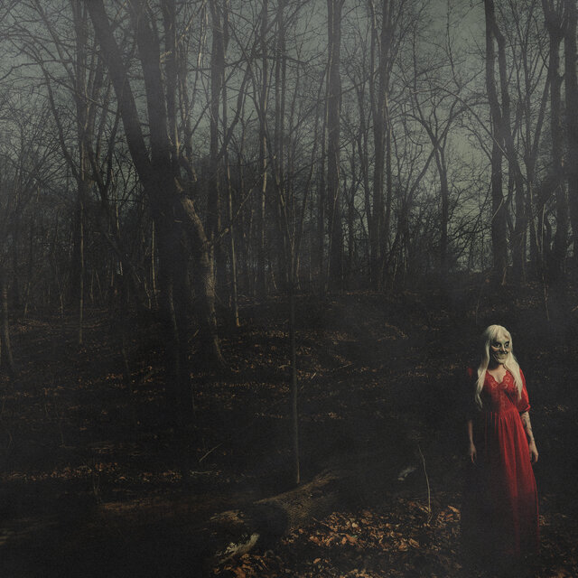 Cover art for album From A Distance by 156/Silence