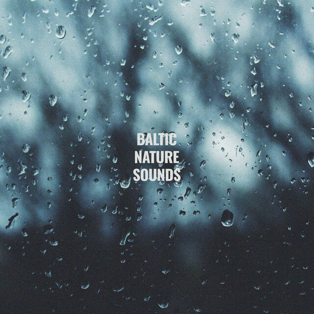 Thunder, Birds and Rain