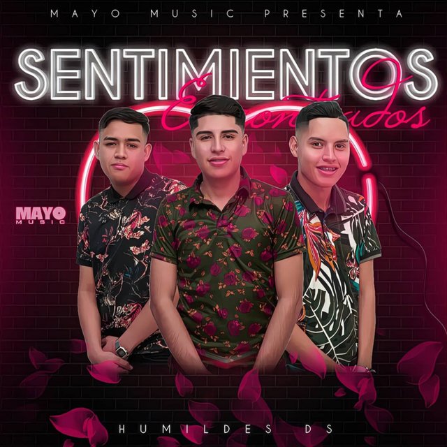 Sentimientos Encontrados
