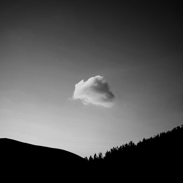 Lonely