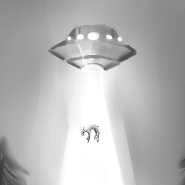 Hovering Greys