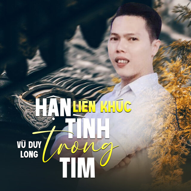 Liên Khúc / Hận Tình Trong Tim