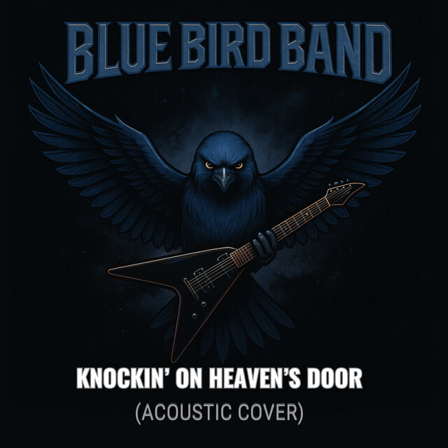 Knockin' On Heaven's Door (Live Acoustic Cover)