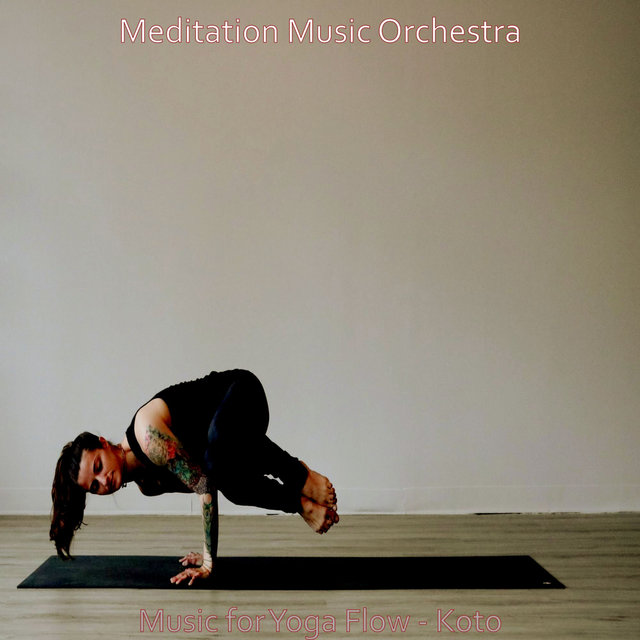 Music for Yoga Flow - Koto