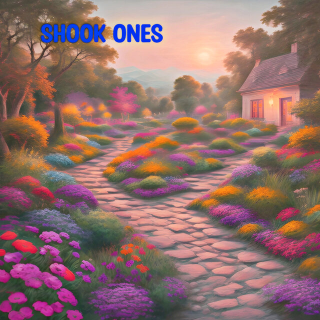 Shook Ones