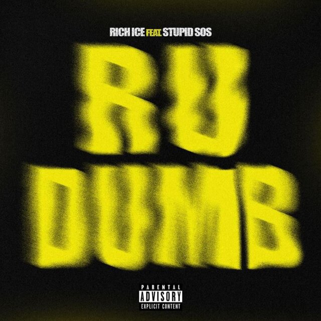 R u dumb (feat. Stupid sos)