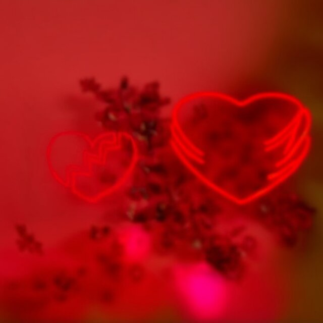 Paro E Penso