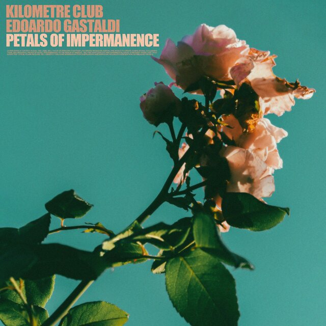 Petals of Impermanence