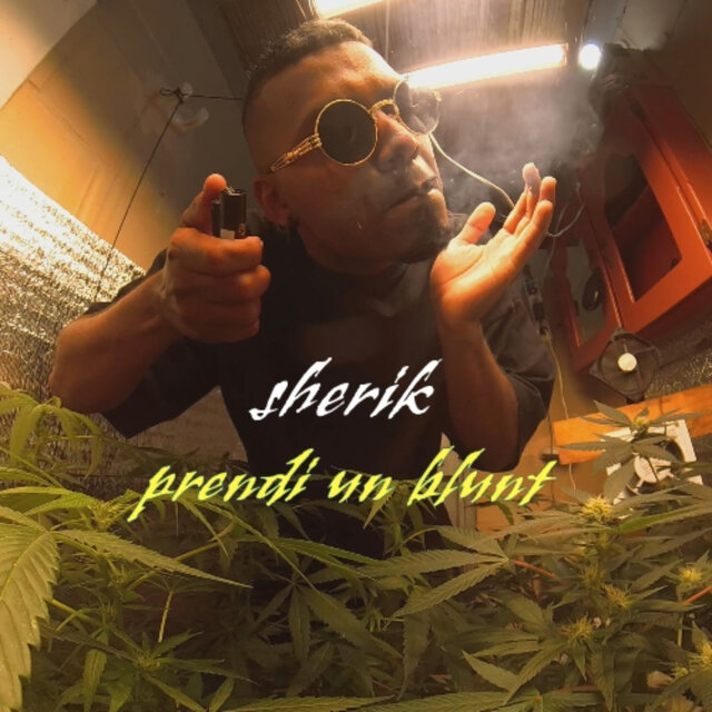 Prendi un Blunt