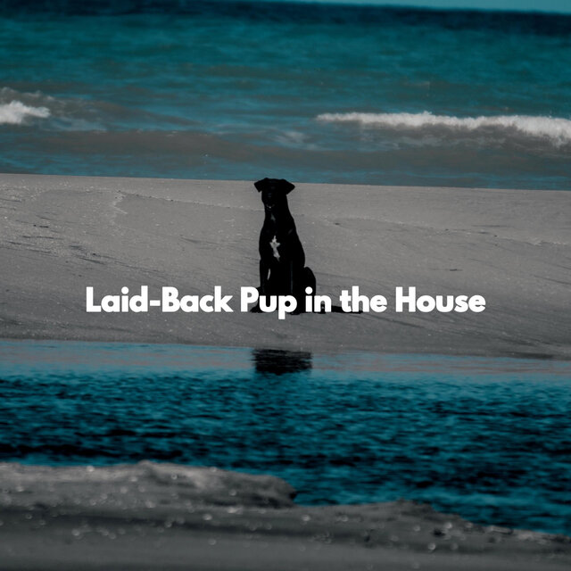 Laid-Back Pup in the House