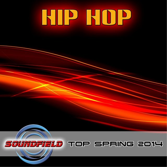 Hip Hop Top Spring 2014