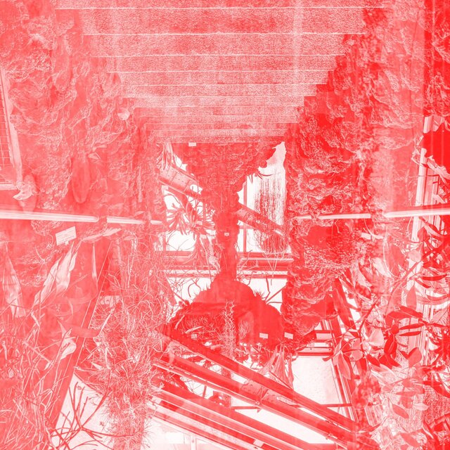 Diskomfort EP