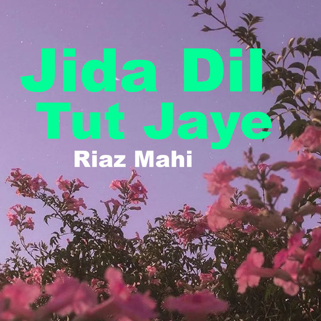 Jida Dil Tut Jaye