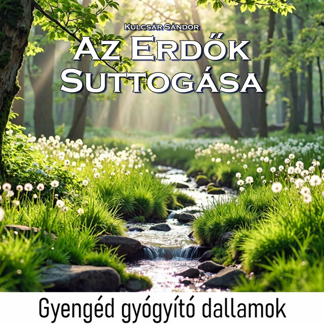 Az erdők suttogása (Gyengéd gyógyító dallamok)