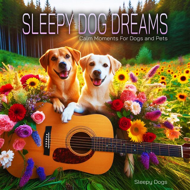 Sleepy Dog Dreams - Calm Moments For Dogs and Pets