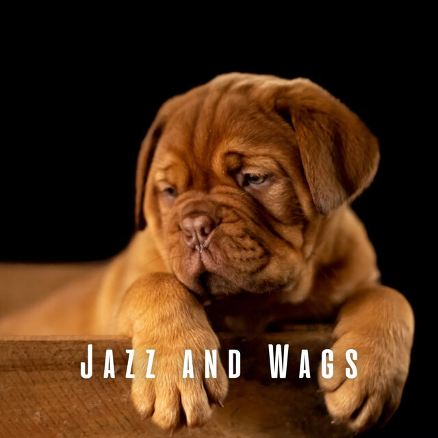 Jazz and Wags: Coffee Shop Lounge Music for Dogs