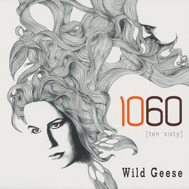 Wild Geese