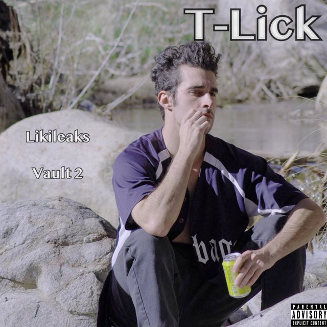 Likileaks: Vault 2